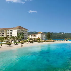 5* 度假村 野兰花的秘密